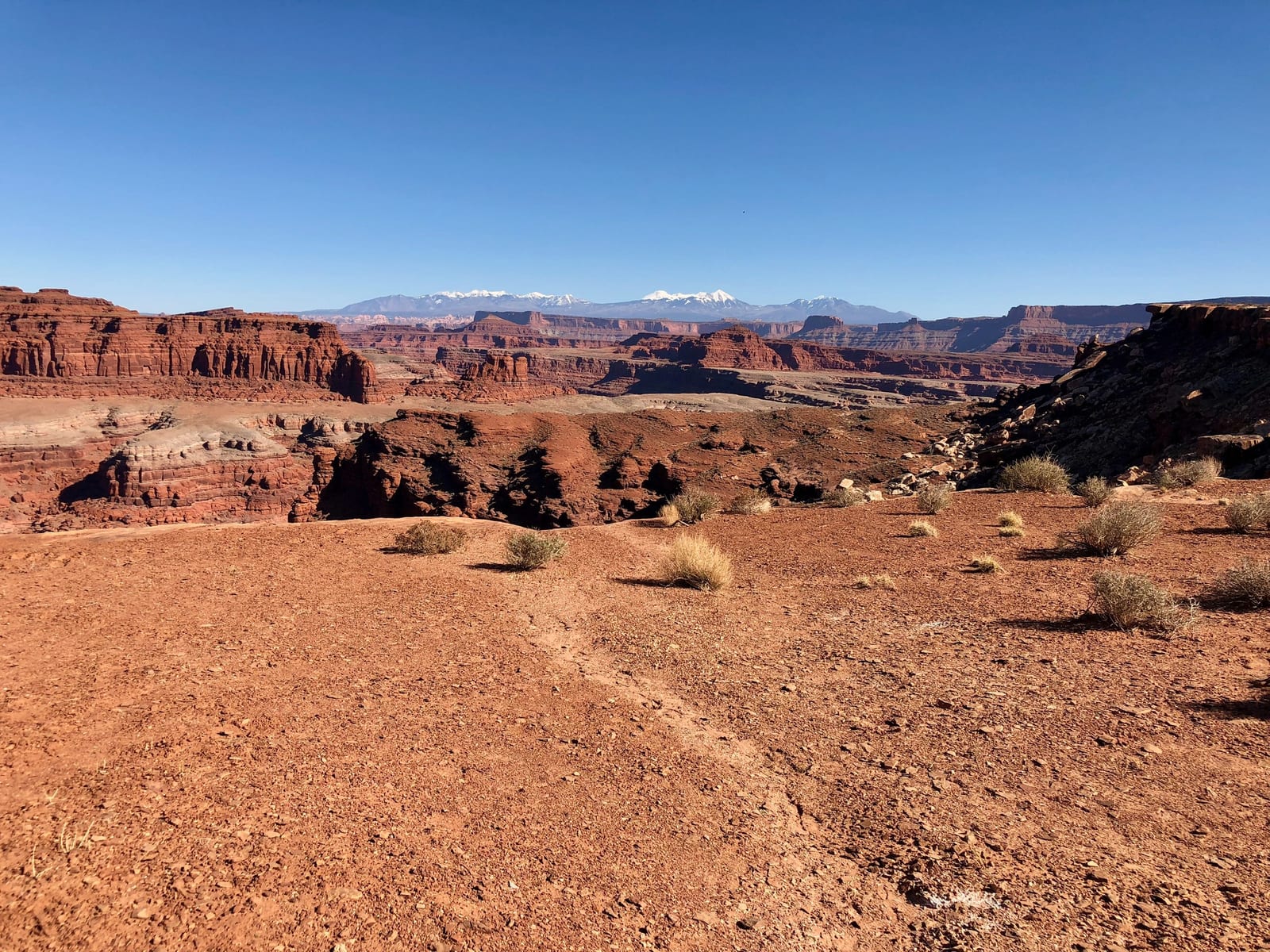 Red-rock canyon country under a clear sky, snow-capped mountains on the horizon